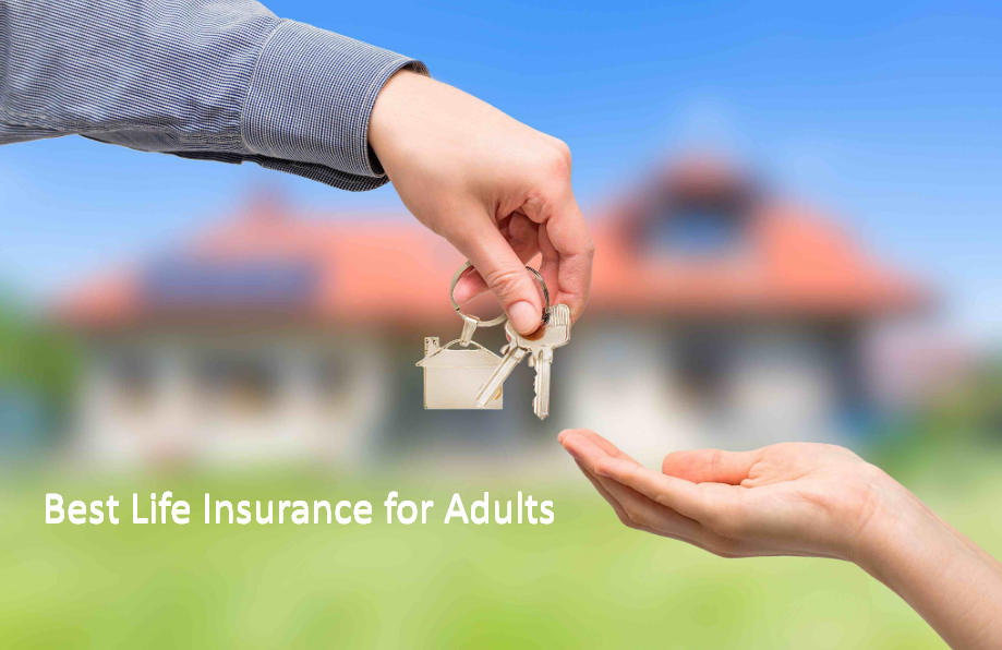 Best Life Insurance for Adults
