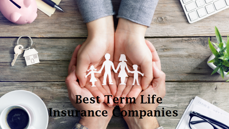 The Best Term Life Insurance Companies of May 2022 Info Vandar