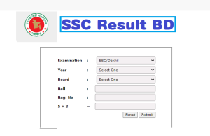 SSC Result 2024 with Number wise Marksheet Download [All Board] - Info ...