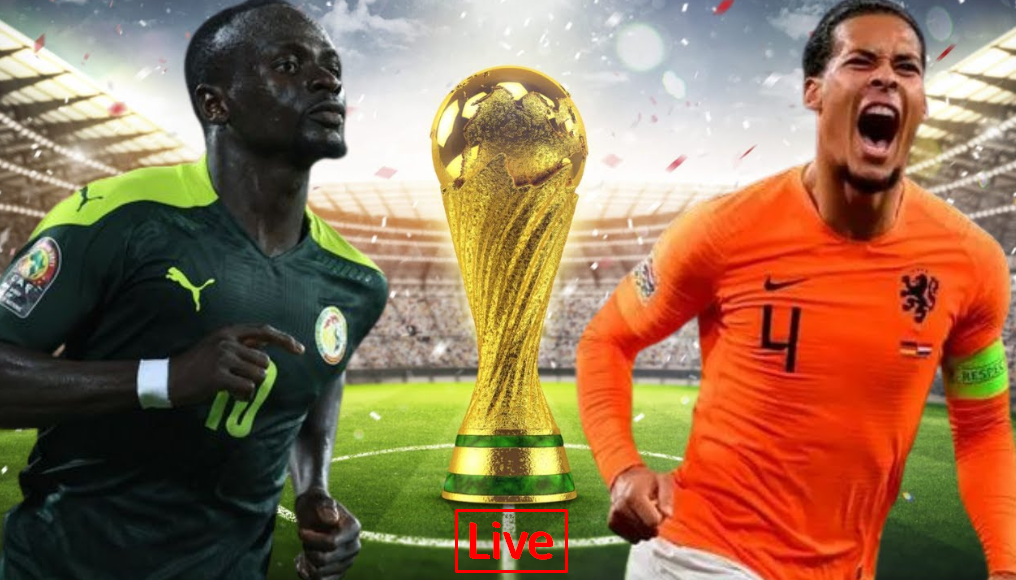 Senegal vs Netherlands Live World Cup Match
