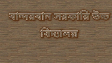 বান্দরবান সরকারি উচ্চ বিদ্যালয় ভর্তি ফলাফল