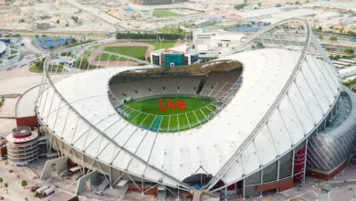 FIFA World Cup Live